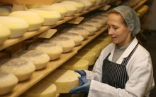 Cheese Maker