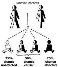 Job Opportunities for Genetic Counsellors