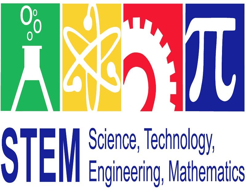 stem